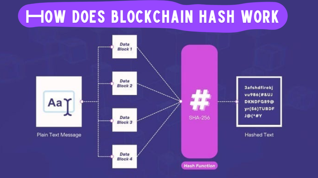 How does a hash help secure blockchain technology?